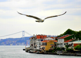 Istanbul-Bogazi-Marti
